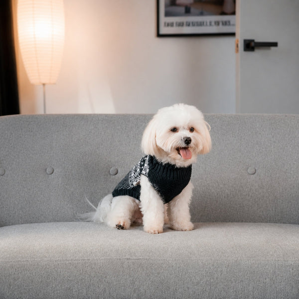 Pet Clothing & Accessories