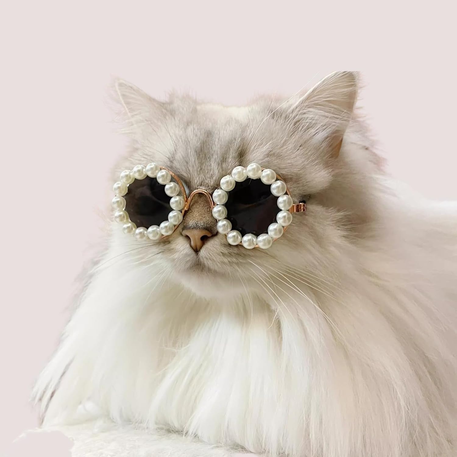 Pet Pearl Sunglasses Costume for Dogs and Cats
