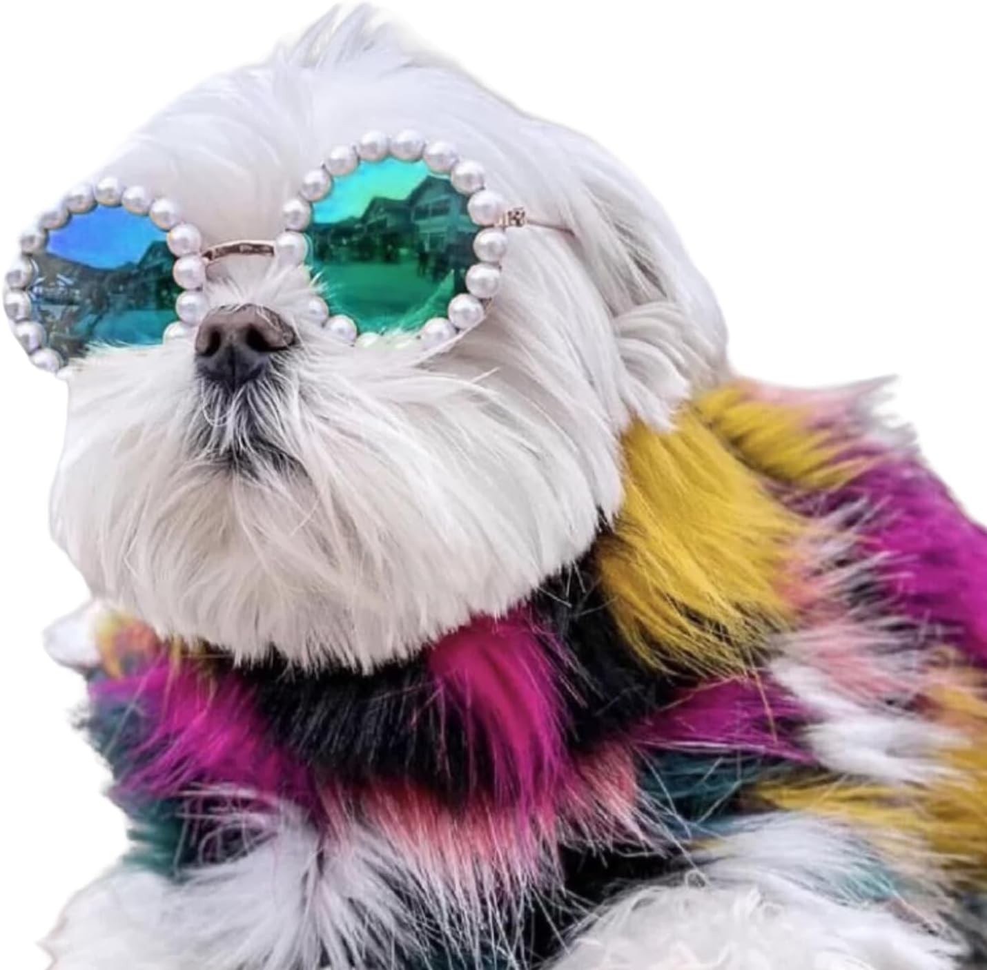 Pet Pearl Sunglasses Costume for Dogs and Cats