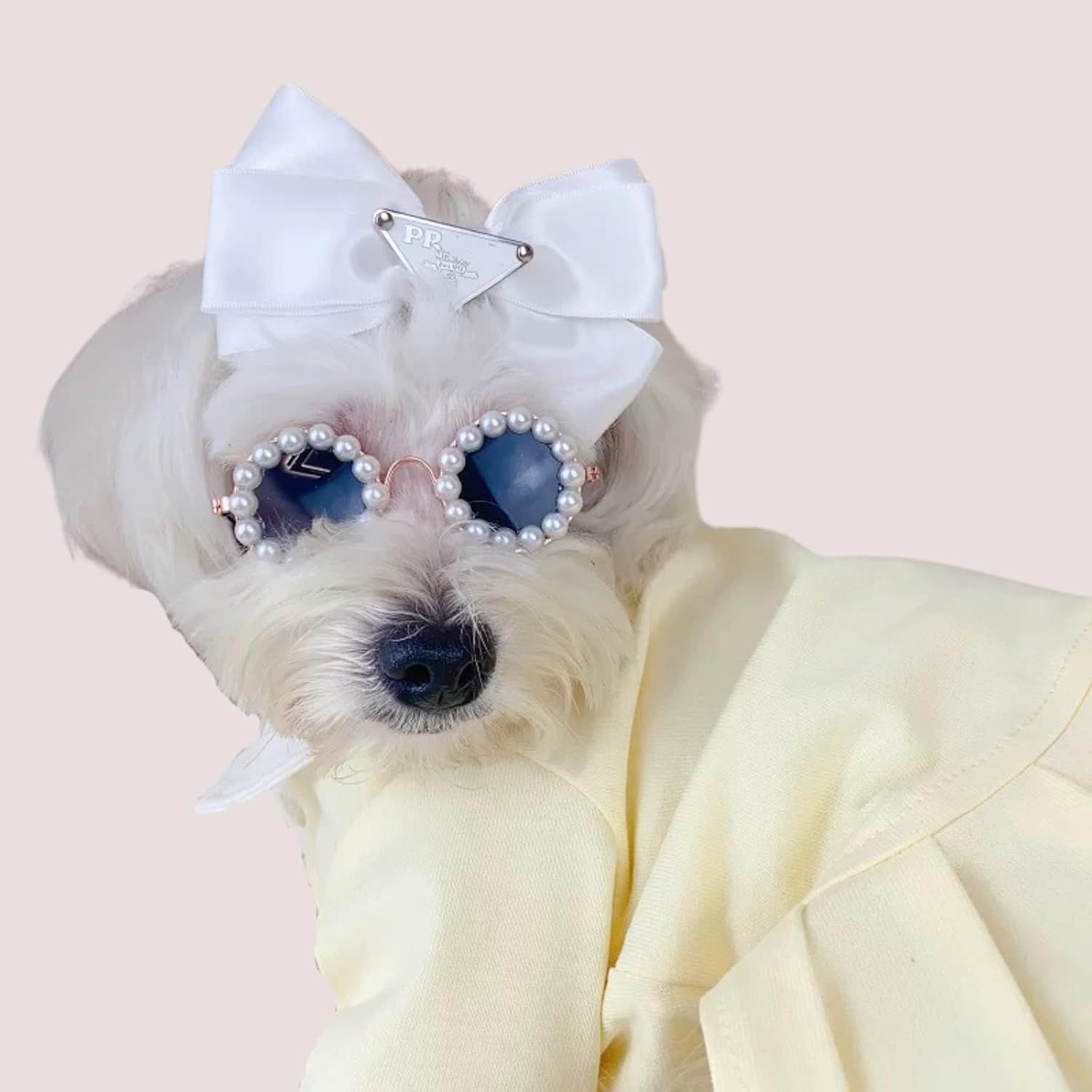 Pet Pearl Sunglasses Costume for Dogs and Cats