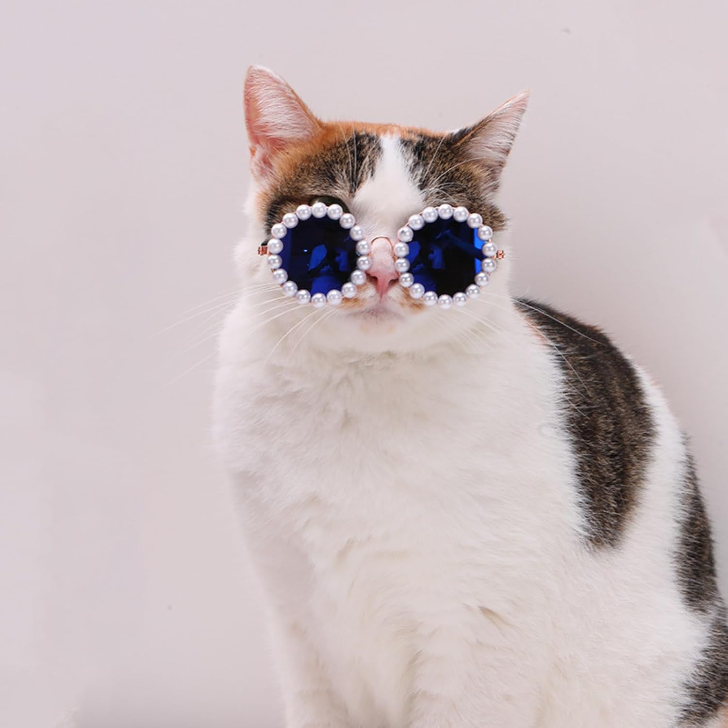 Pet Pearl Sunglasses Costume for Dogs and Cats