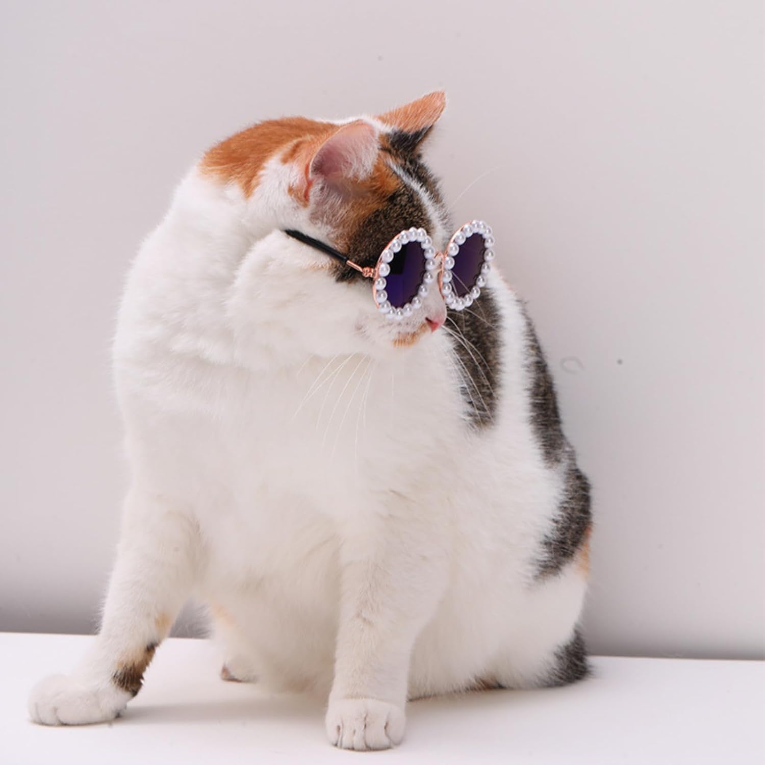 Pet Pearl Sunglasses Costume for Dogs and Cats