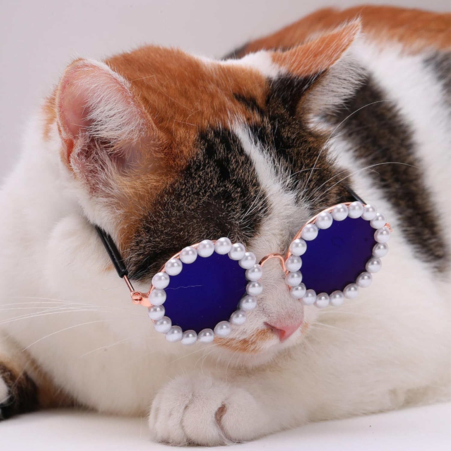 Pet Pearl Sunglasses Costume for Dogs and Cats