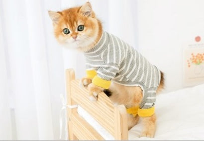 Four-Legged Cat Clothing Anti-Shedding Hairless Pet Suit