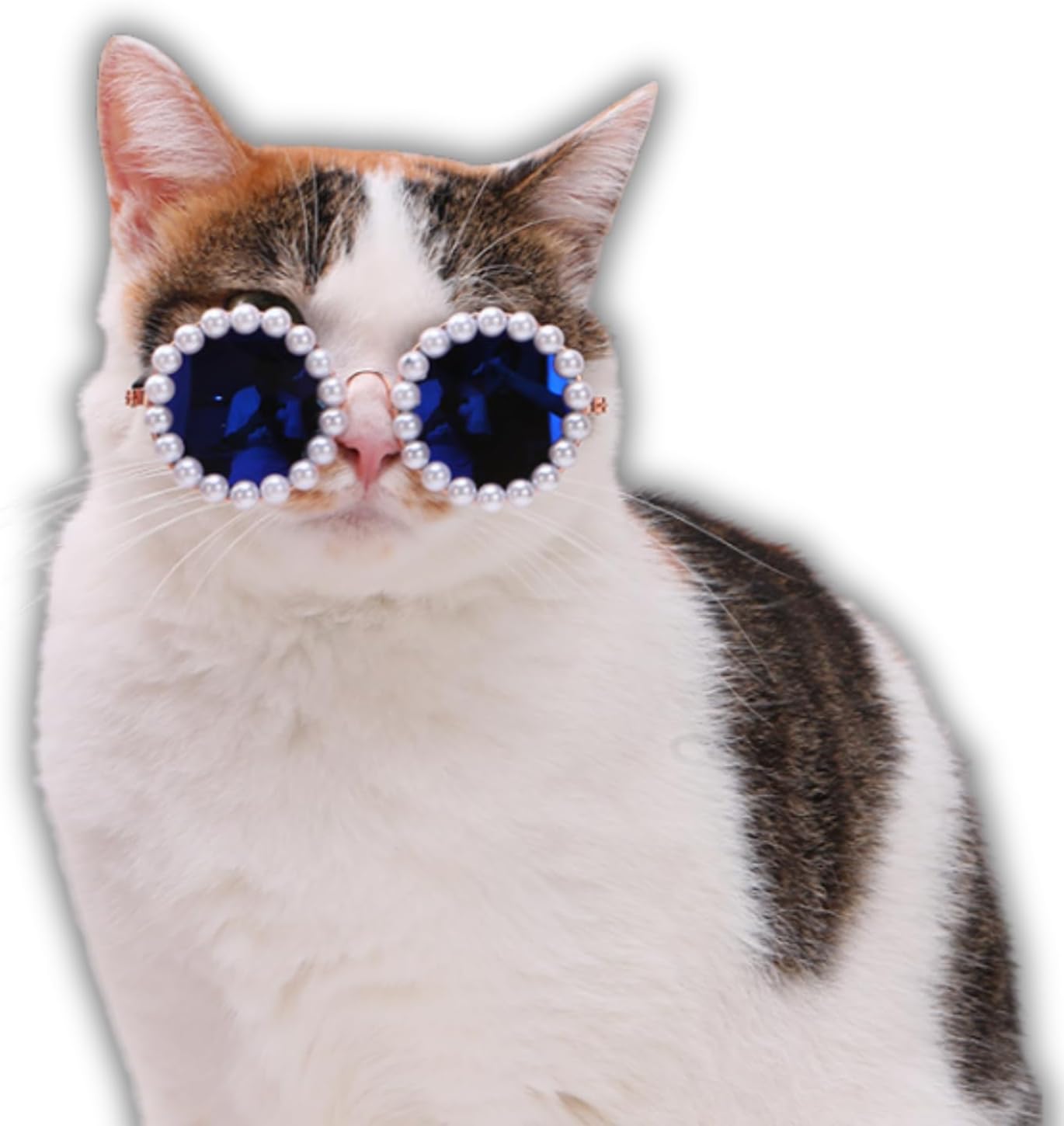 Pet Pearl Sunglasses Costume for Dogs and Cats