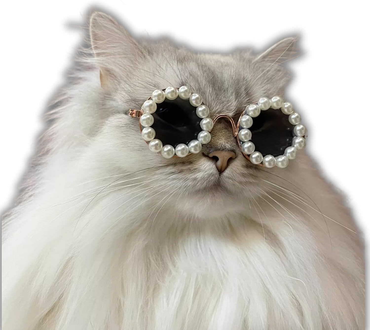 Pet Pearl Sunglasses Costume for Dogs and Cats