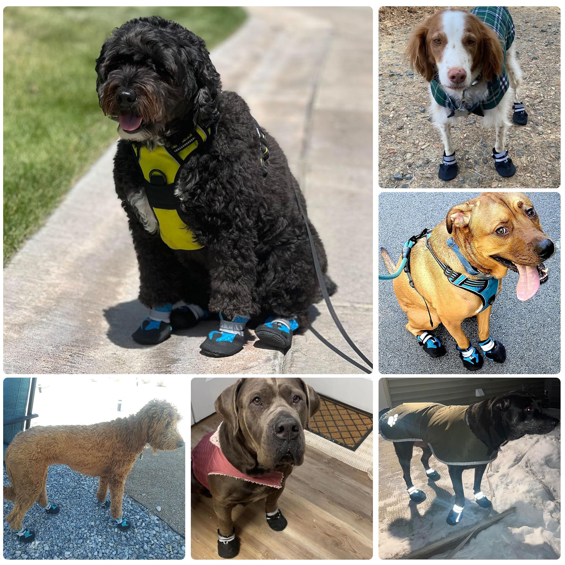 Water-Resistant Non-Slip Dog Boots for Large Dogs