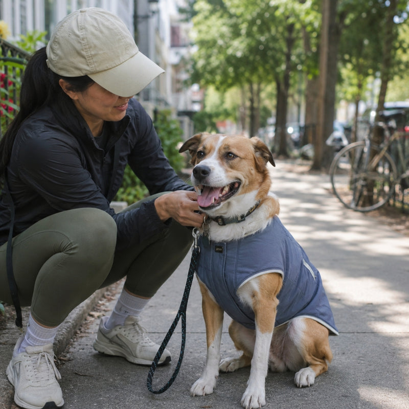 Woman petting a dog wearing a blue coat on a city street.